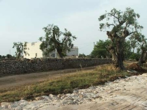 masseria2