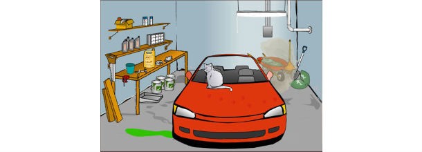 col garage si risparmia Affitti in calo del 2%. Analisi nazionale