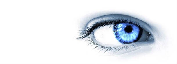 Evasione, il fisco ti stana su facebook