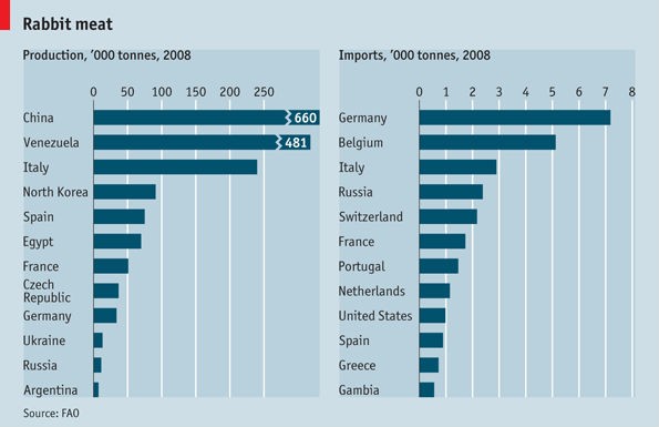Immagine del giorno: pasqua col coniglio