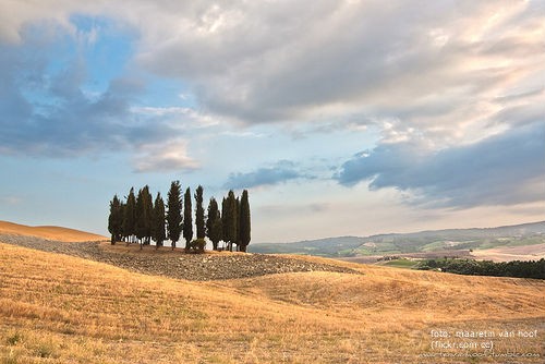 Le migliori case in affitto per l'estate in Toscana