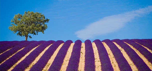 Case da sogno: un castello medievale nel cuore della provenza (francia)