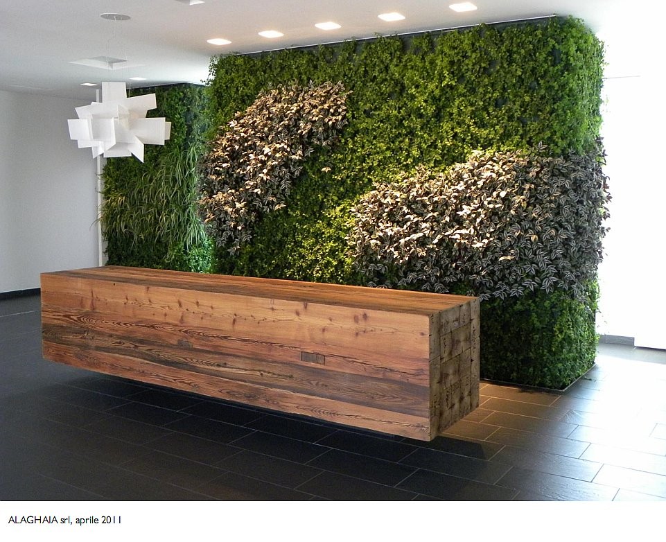 verde10
