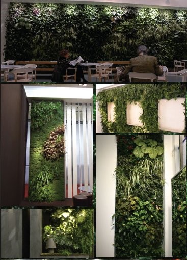 verde2