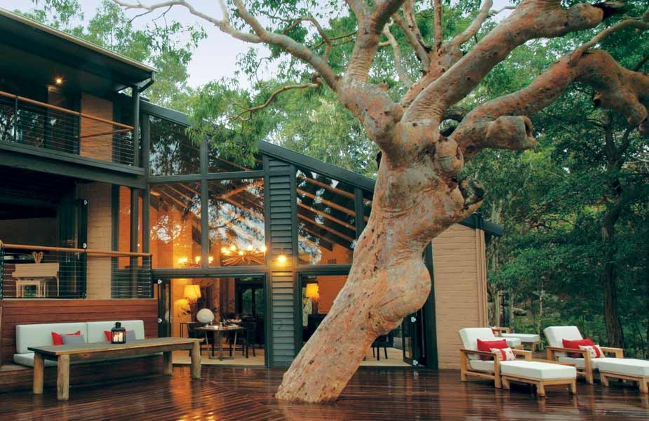 sydney-beachhouse-tree-deck_0