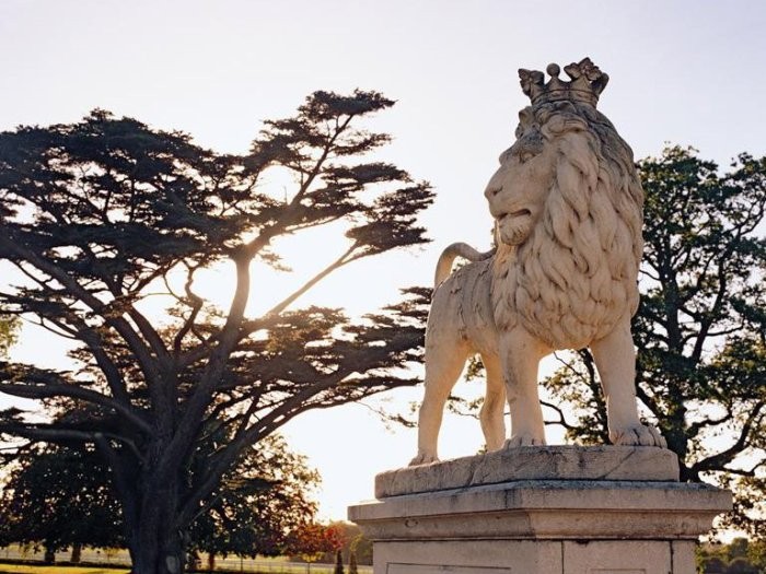 this-lion-statue-will-impress-visitors-when-they-arrive