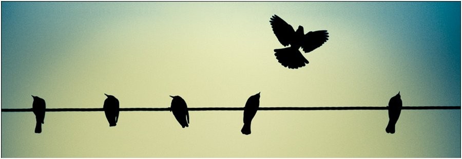 Home staging: la passione vincente del 2012 per il settore immobiliare