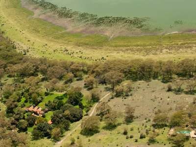 2deon10dkfHippo-Point-G4-600x600