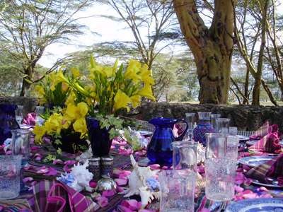 30socqk3a9Hippo-Point-G5-600x600