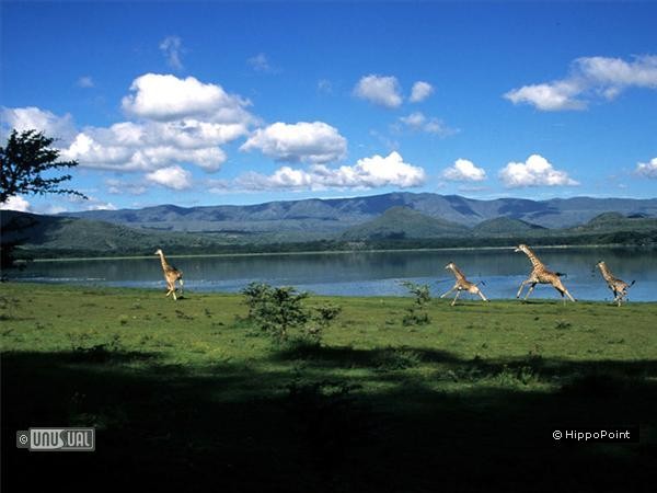 HippoPointWildlifeSanctuary633818794953460333_Big