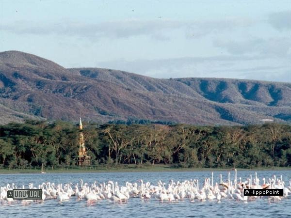 HippoPointWildlifeSanctuary633818796046251851_Big