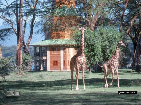 HippoPointWildlifeSanctuary633828023566611526_Big