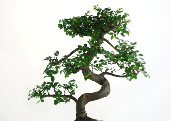 La nuova tendenza immobiliare: gli appartamenti minuscoli