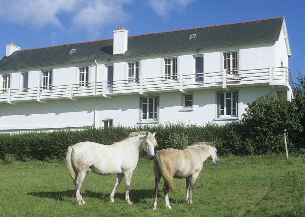  Case cavallo e case somaro: come muoversi nel mercato immobiliare