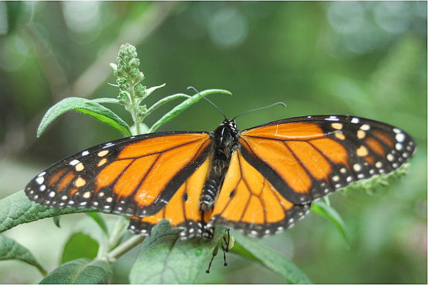 Il mattone non è morto: sta solo cambiando. Scopri come