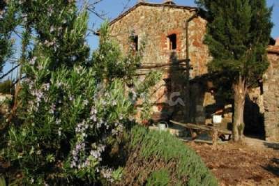 podere
