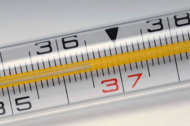 La cedolare secca nel 730: istruzioni per l'uso