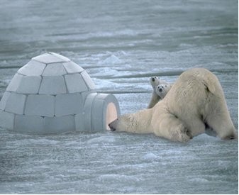 Per chi vuole vendere casa è giunto il momento di imparare dall'america