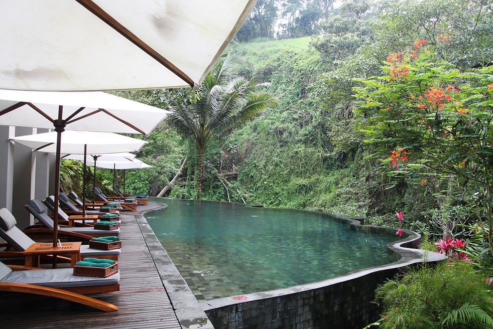 Infinity-Pool-at-Maya-Ubud-Overlooking-the-Forest