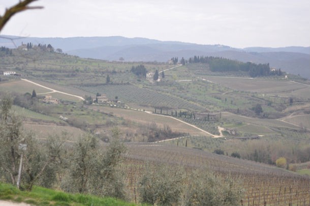 Castelnuovo berardenga, informazioni sul comune 