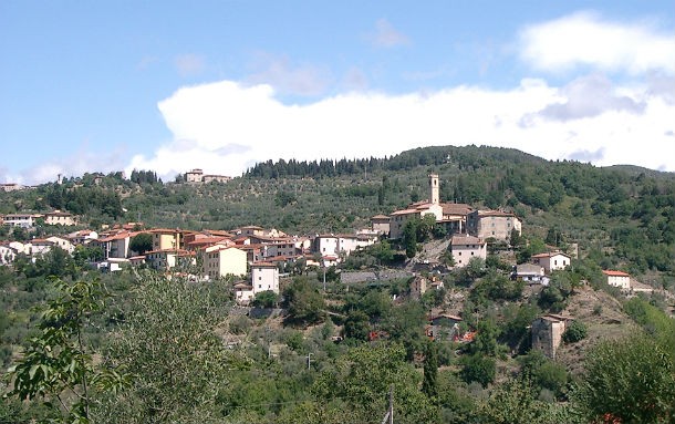 Pelago, informazioni sul comune