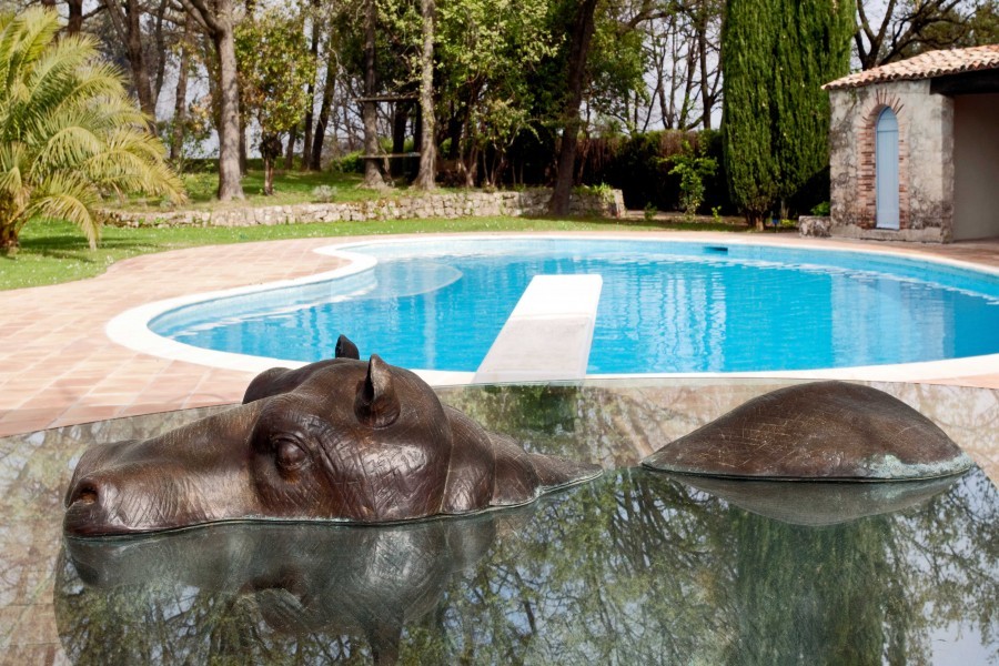 800x600_large-pool_mg_9175