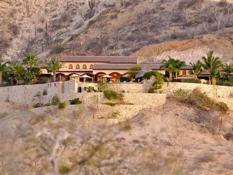 ImageReader2.aspx__0