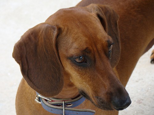 In arrivo il nuovo condominio online