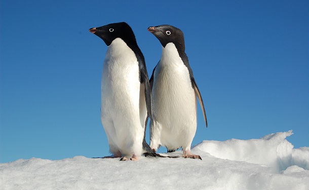 Italiani "mammoni": uno su tre vive ancora con i genitori