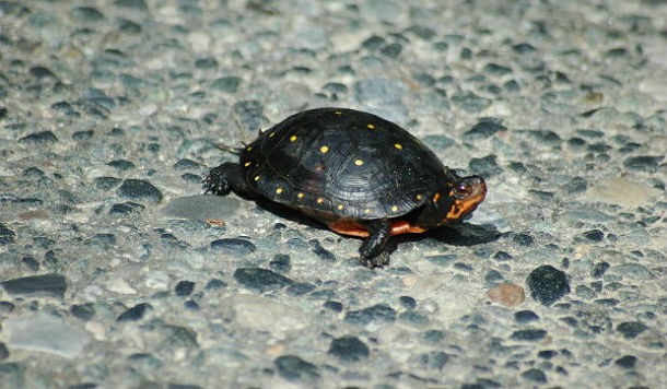 Cgil: 3 milioni di famiglie schiacciate dal peso della casa