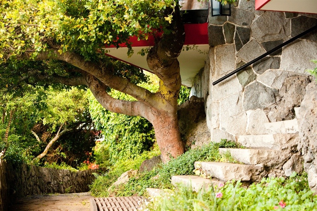 Case da sogno: un ranch per cinefili tra le nevi delle montagne olimpiche (foto)