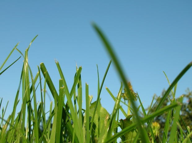 L'immobiliare francese in crisi coi mutui: l'erba del vicino non è sempre più verde