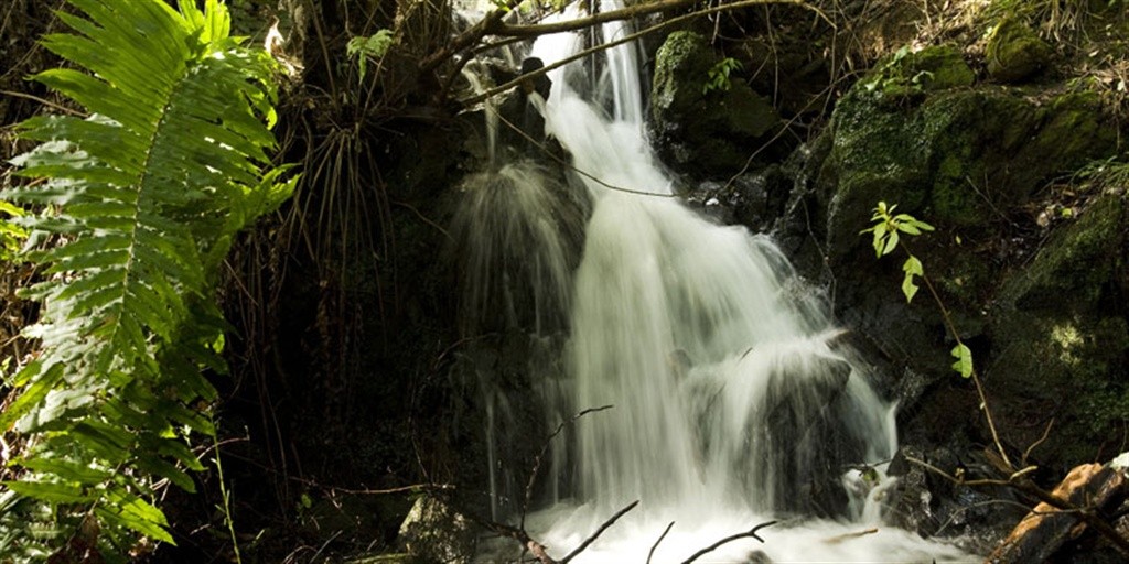 gardensAntumalal-12.jpg.1024x0