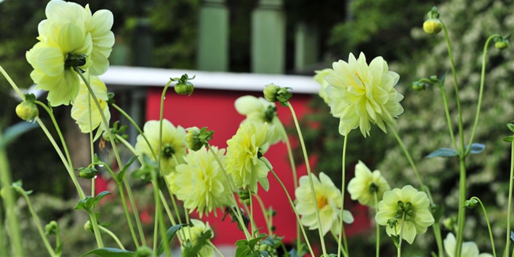 gardensAntumalal-9.jpg.1024x0