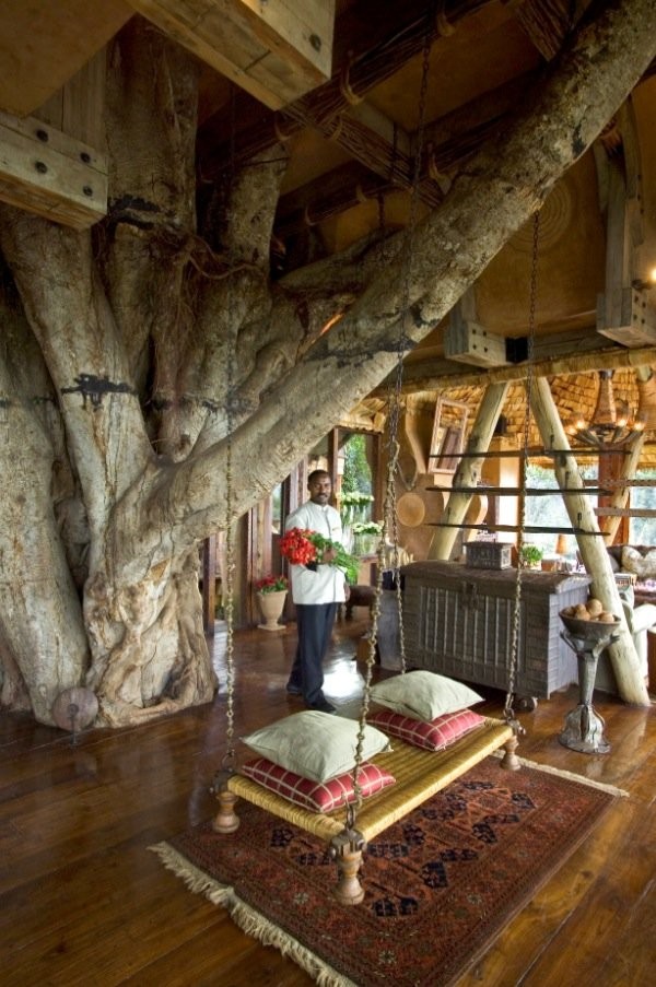 its-pretty-clear-why-they-called-it-the-tree-lodge-the-entire-structure-wraps-around-this-massiv