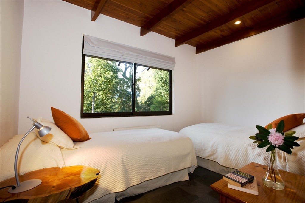 room-1-bosque.jpg.1024x0