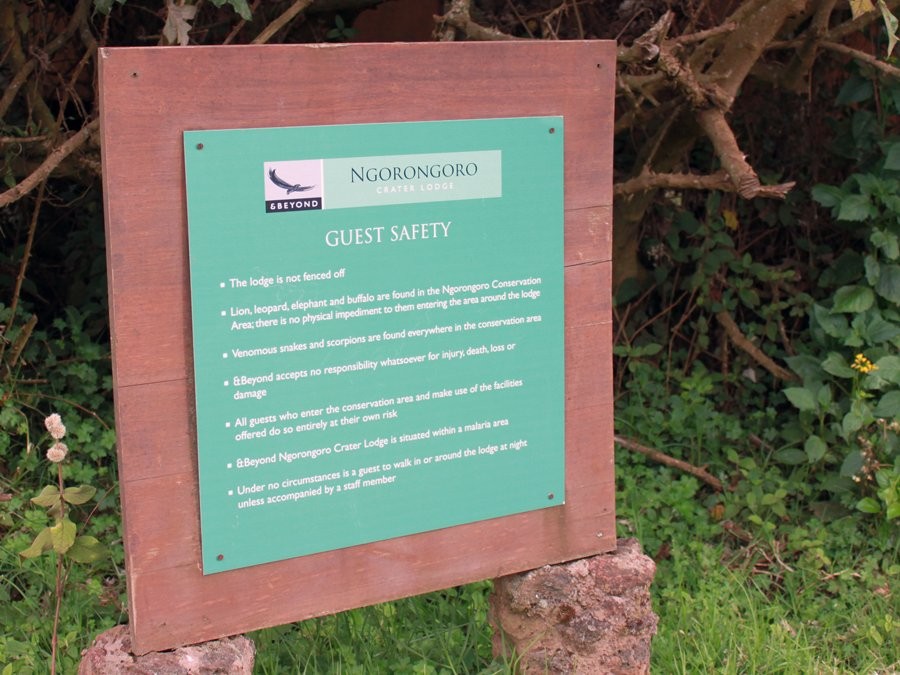 since-there-are-no-fences-around-the-camp-guests-must-abide-by-strict-safety-rules-no-one-can-wa