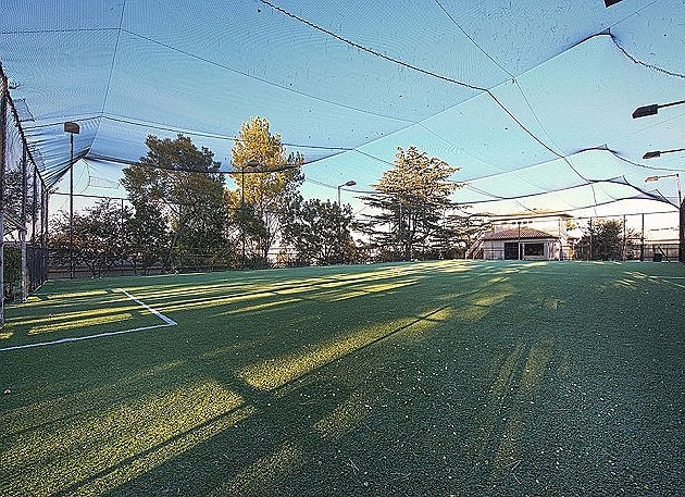 article-2239885-16412130000005DC-333_634x476