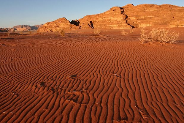 Il saldo imu prosciugherà la tredicesima degli italiani (calcolo città)
