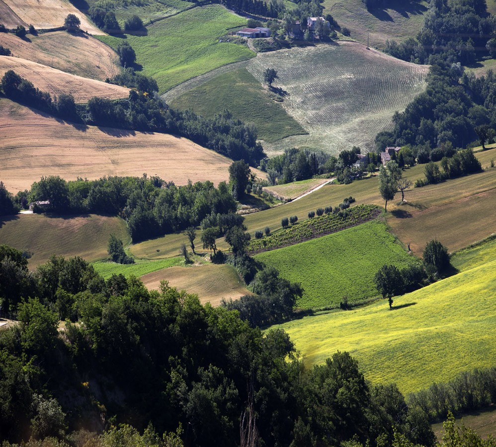 1352205424__MG_6726hh