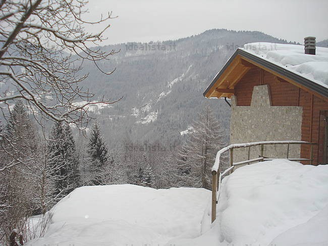 g_VW0000000182686_18_1268959407940