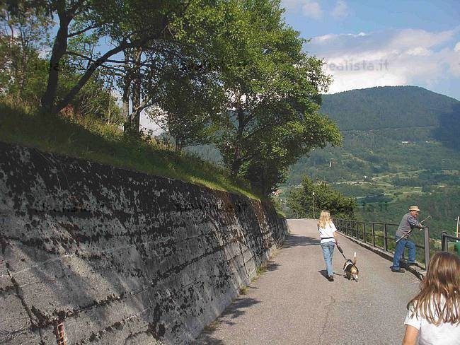 g_VW0000000182686_25_1316373183466