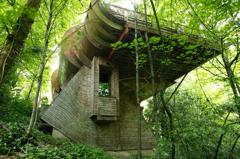 Una casa d'autore sull'albero nelle foreste dell'oregon (fotogallery)
