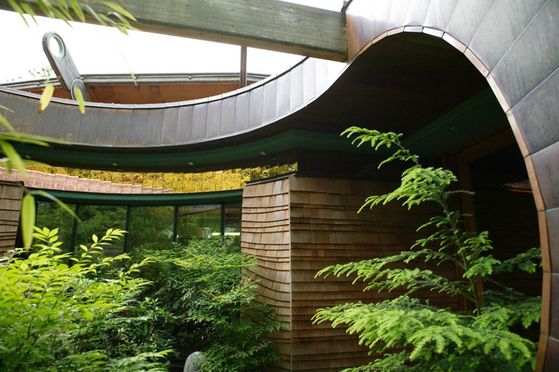 treehouse3