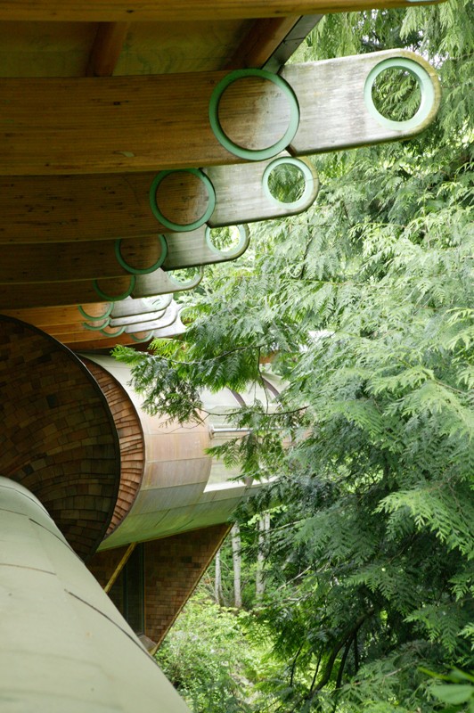 treehouse5