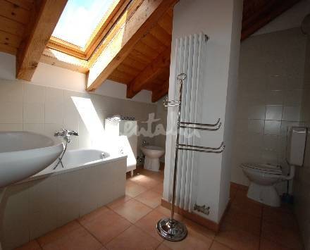 E la germania inventa la tassa pro-anziani