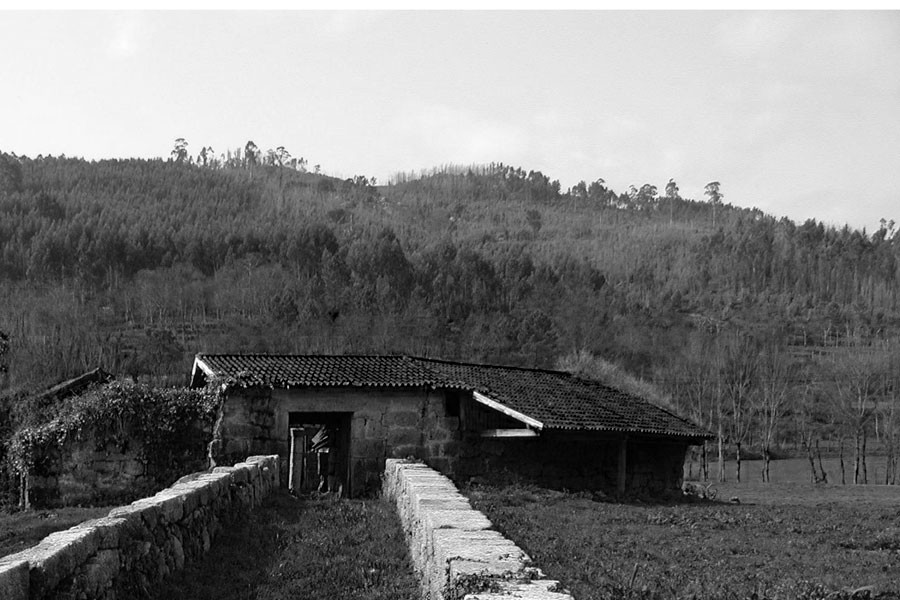 Casa-7
