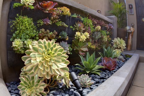 13 idee per decorare un giardino verticale (fotogallery)