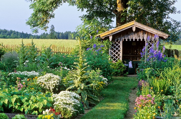 La casa con il giardino piu strano del mondo (video)