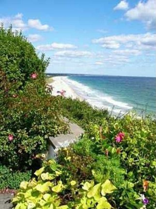 Beach2-0e979b-322x430